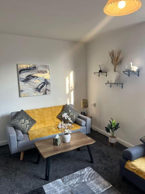 Apartment Seagulls *